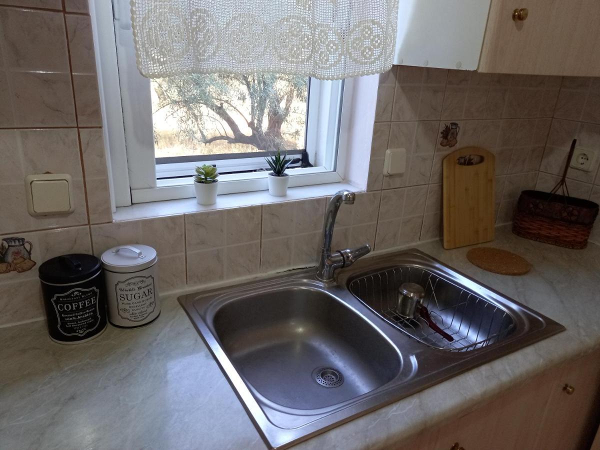 Apartament Olivo Nydri Zewnętrze zdjęcie
