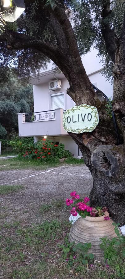 Apartament Olivo Nydri Zewnętrze zdjęcie