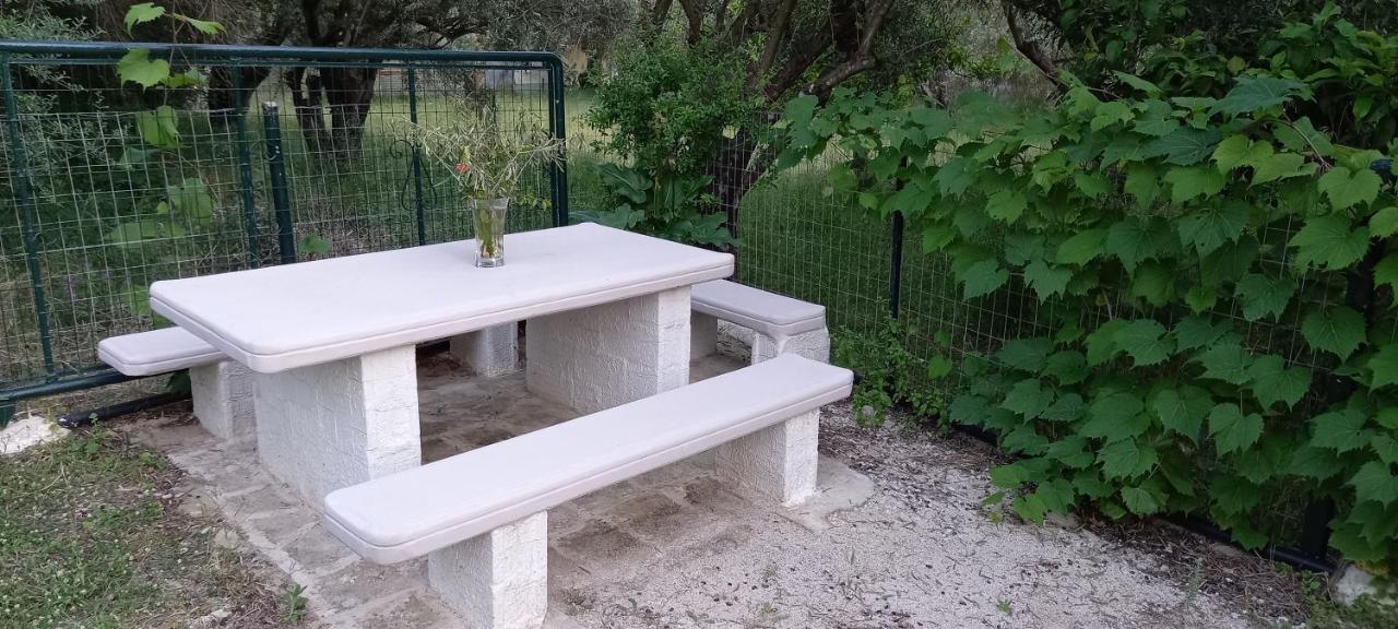 Apartament Olivo Nydri Zewnętrze zdjęcie