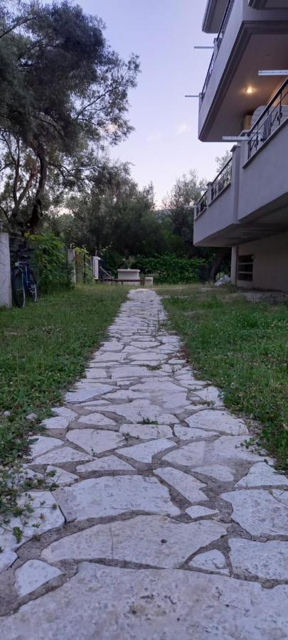 Apartament Olivo Nydri Zewnętrze zdjęcie